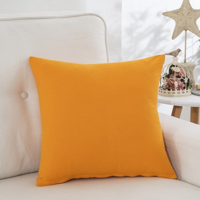 05-5.jpg 新款超密丽丝绒抱枕套抱枕