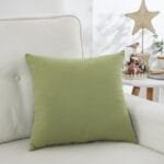 09.jpg 新款超密丽丝绒抱枕套抱枕