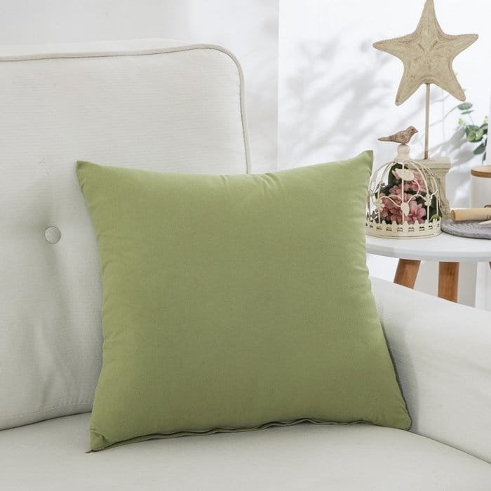 09.jpg 新款超密丽丝绒抱枕套抱枕